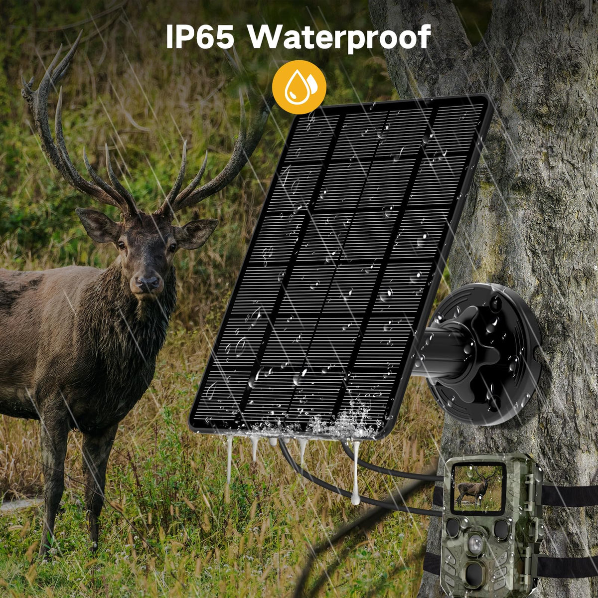 WECOOL solar panel trail camera IP66 rating signifies rugged weatherproof design