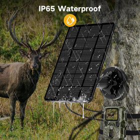 WECOOL solar panel trail camera IP66 rating signifies rugged weatherproof design