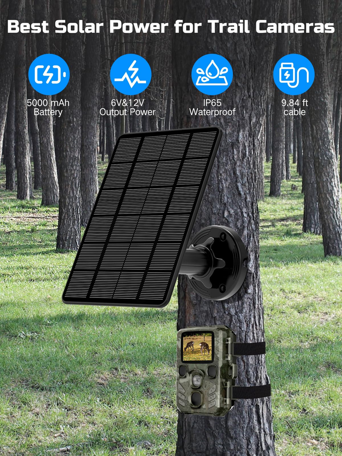 WECOOL Trail Panel mounted on a tree demonstrates adjustable positioning for sunlight capture.