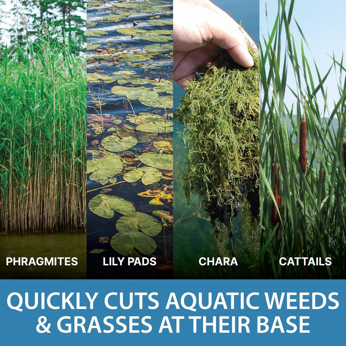 Chemical-free method supports eco-friendly weed control near lakes.