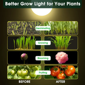 WeeGrow A19 bulb with E26 base installed in a standard socket.