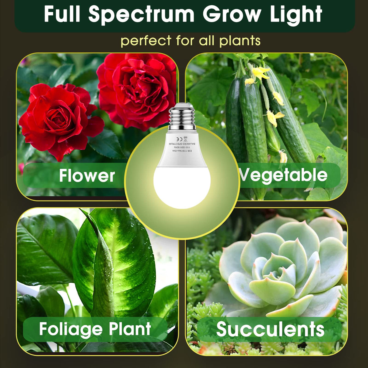 WeeGrow A19 grow light delivering 1000 lumens for seedlings.
