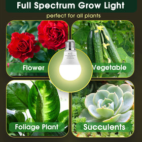 WeeGrow A19 grow light delivering 1000 lumens for seedlings.