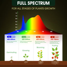 WeeGrow two-pack product box highlighting value.
