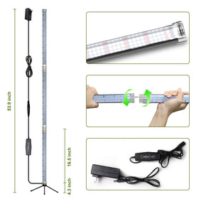 WeeLeeGoo auto timer powers the lamp on schedule and saves energy.