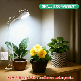 WeeLeeGoo clip-on light for indoor succulents enhances color and growth