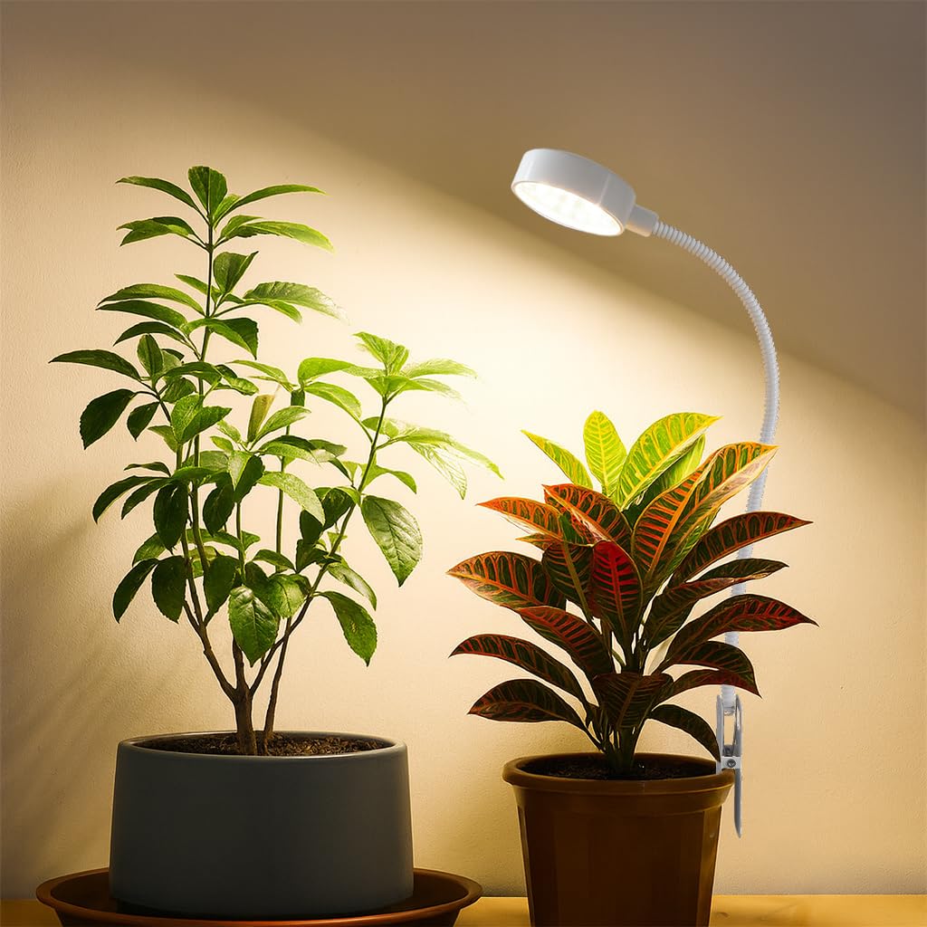 WeeLeeGoo desk-table plant light brightens workspaces for healthier plants