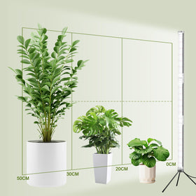 WeeLeeGoo five dimming levels help tailor brightness for different plants.