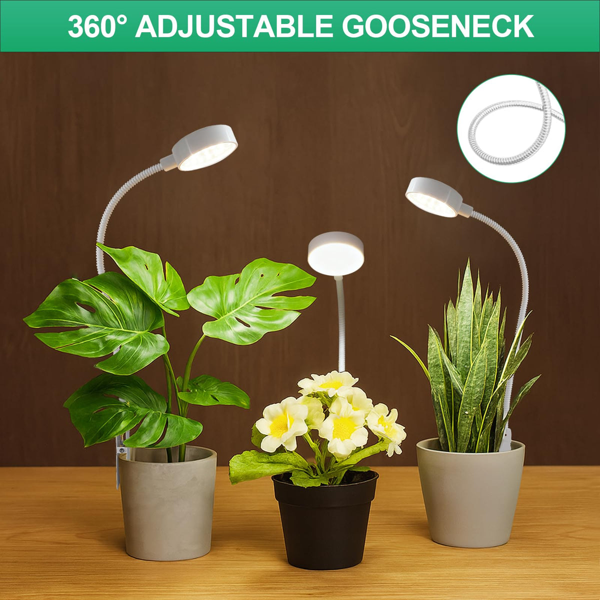 WeeLeeGoo full-spectrum LED 6000K provides balanced light for potted plants