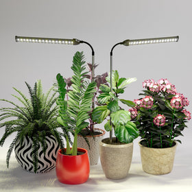 WeeLeeGoo energy-efficient design reduces heat and electricity usage