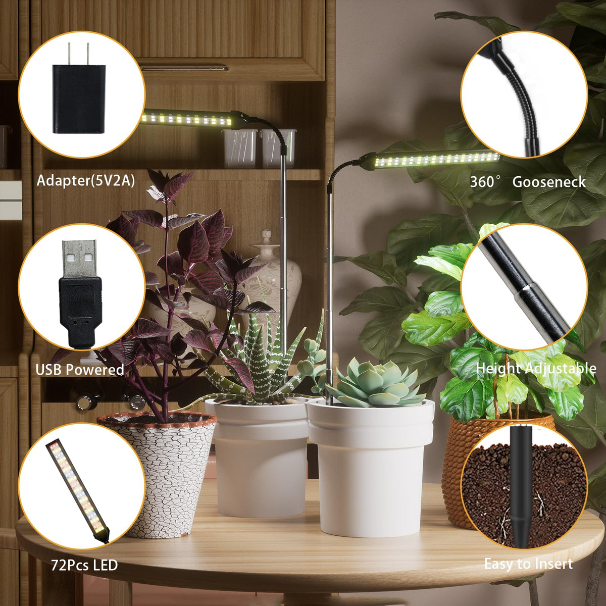 WeeLeeGoo light supports indoor plants like succulents with steady light