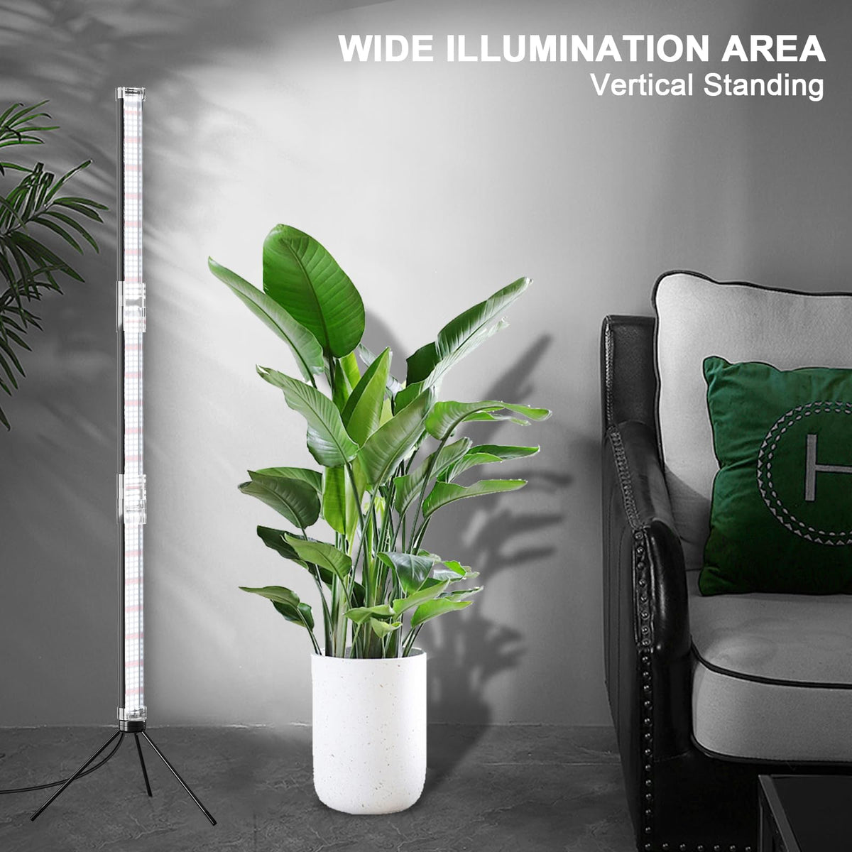 WeeLeeGoo side lighting design provides wide coverage for tall houseplants.