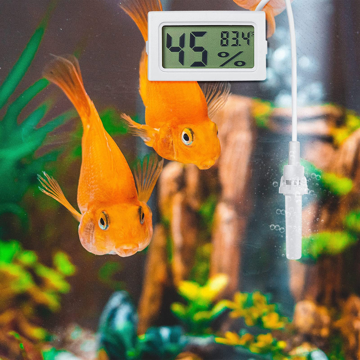 Three-pack Weewooday hygrometers enable simultaneous environmental monitoring