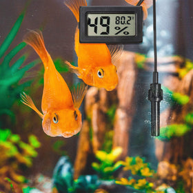 Weewooday large LCD readout for easy visibility from a distance