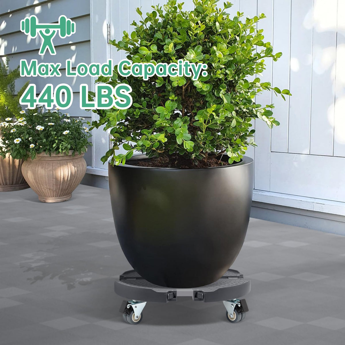 WEIBIDA four swivel casters with dual locks enable controlled movement.