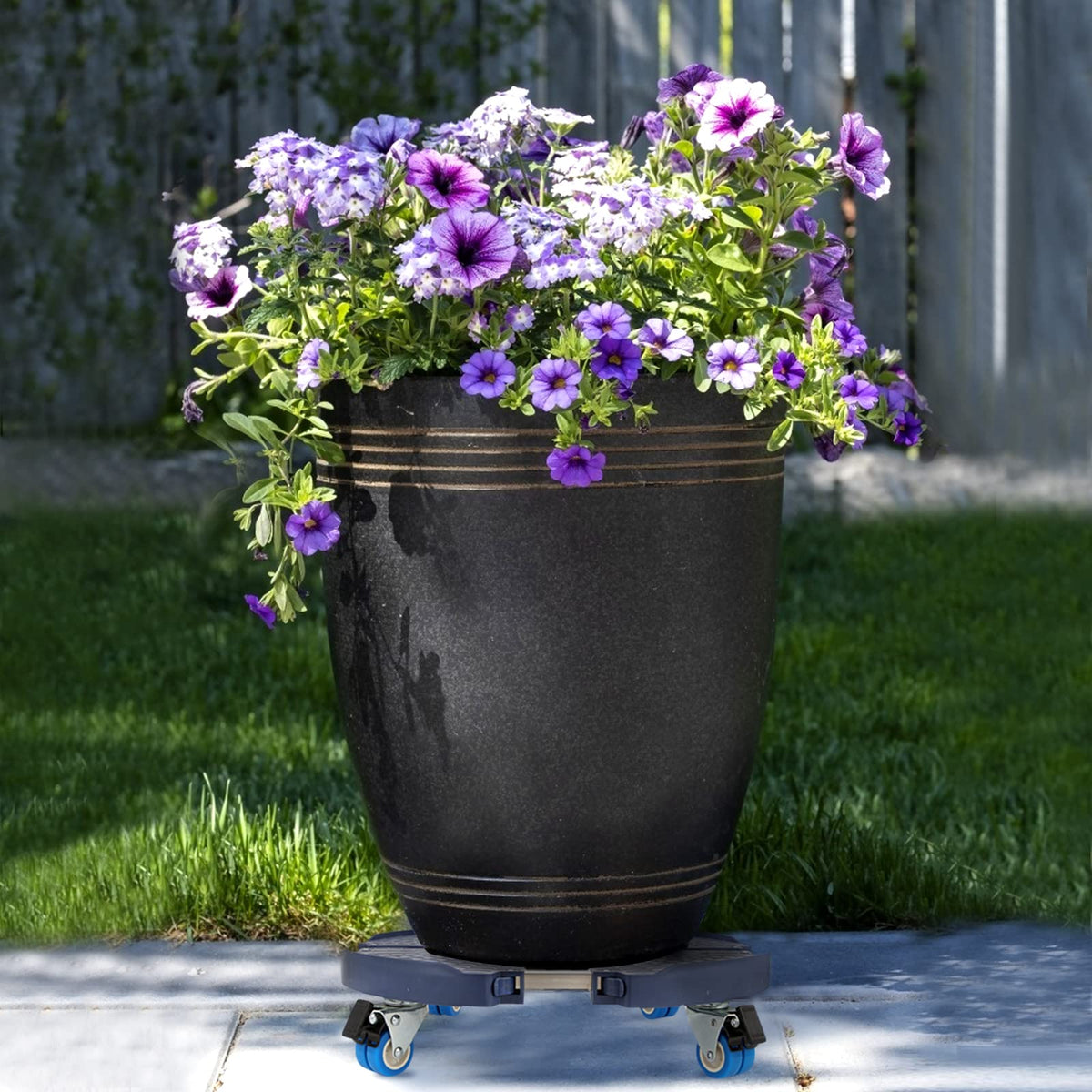 WEIBIDA rolling plant stand in sturdy frame ready to move