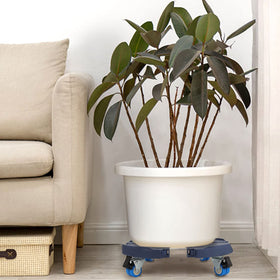 WEIBIDA round dolly base supporting heavy pots up to 440 lb