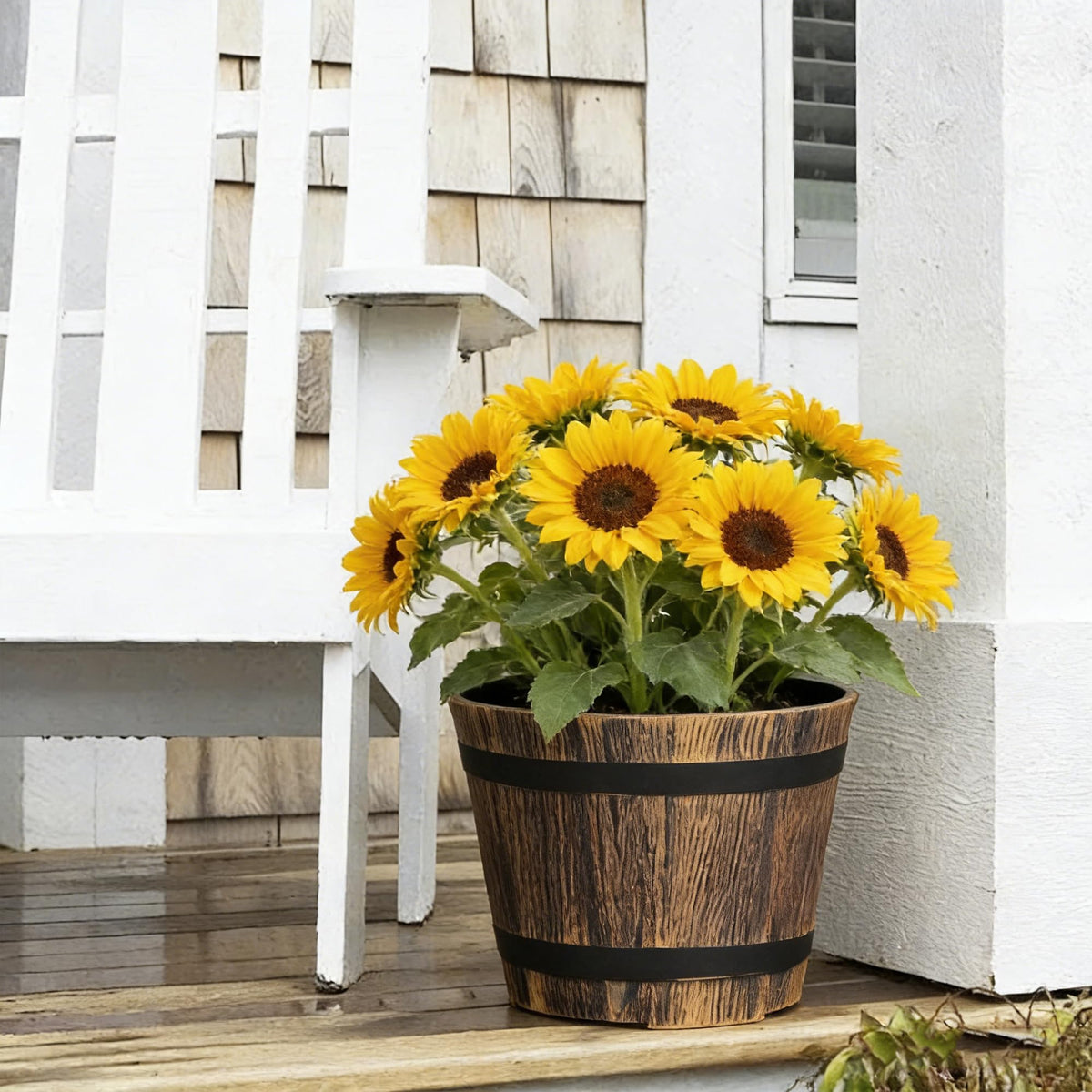 WEICHENGXING kitchen herb garden idea with compact planters