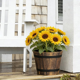 WEICHENGXING kitchen herb garden idea with compact planters