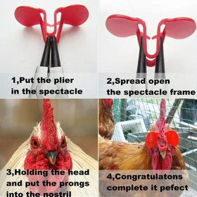 Weilan pinless peepers red large tips suggest warming for easier fit