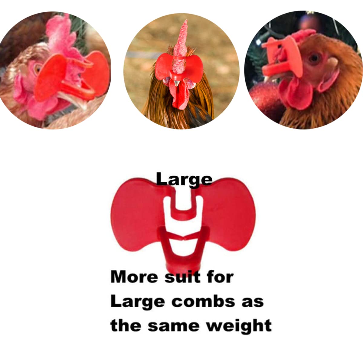 Weilan pinless peepers red large worn on bird during daily activity