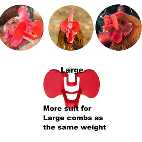Weilan pinless peepers red large worn on bird during daily activity