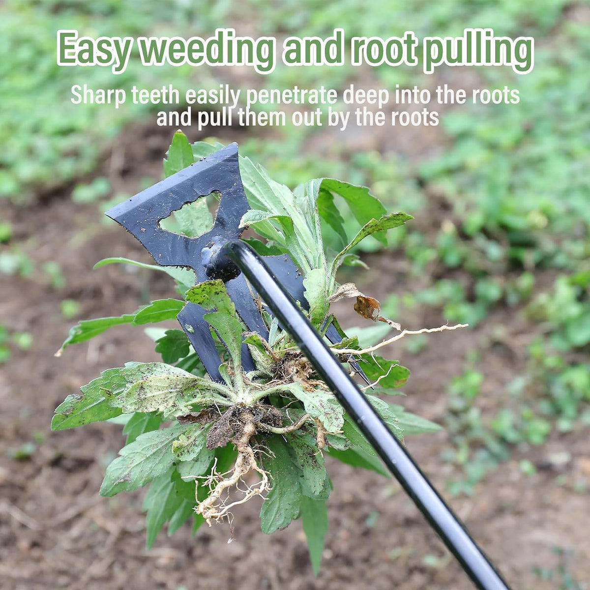 Weivone multi-use garden tool ideal for weeding, planting and transplanting