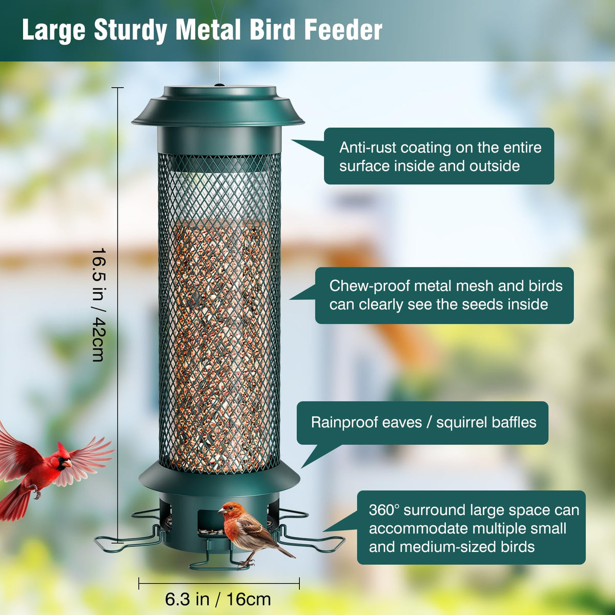 Wellavich removable tray simplifies cleaning and reduces seed mess.