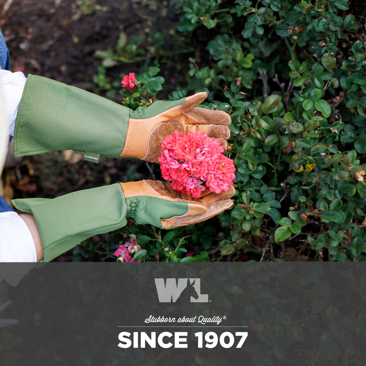 Wells Lamont Rosetender gloves ideal for yard work and general garden maintenance.