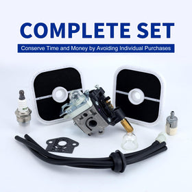 Wellsking RB-K84 carburetor in package ready for replacement on Echo tools