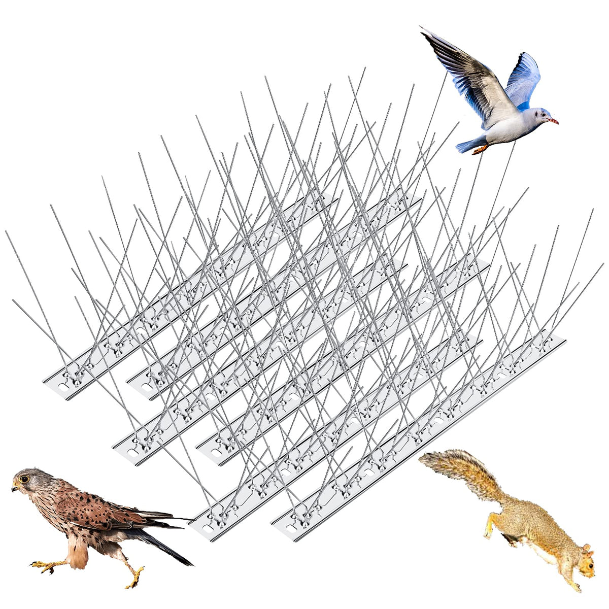 WELLUCK Bird Spikes in stainless steel deter roosting on ledges safely