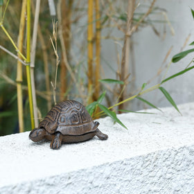 WEMPOLU Gift Idea ideal present for new homeowners seeking practical outdoor decor.