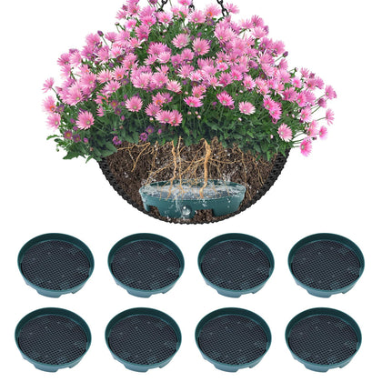 Wenfan invisible hanging basket insert enhances aesthetics while self-watering.