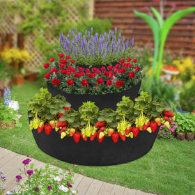 Wenfan planter on a balcony setup for compact urban gardening.