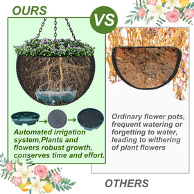Wenfan self-watering insert supports roots with steady moisture.