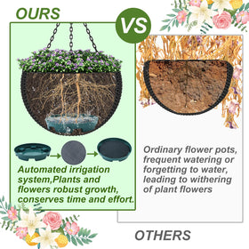 Wenfan self-watering tray helps plant care during travel