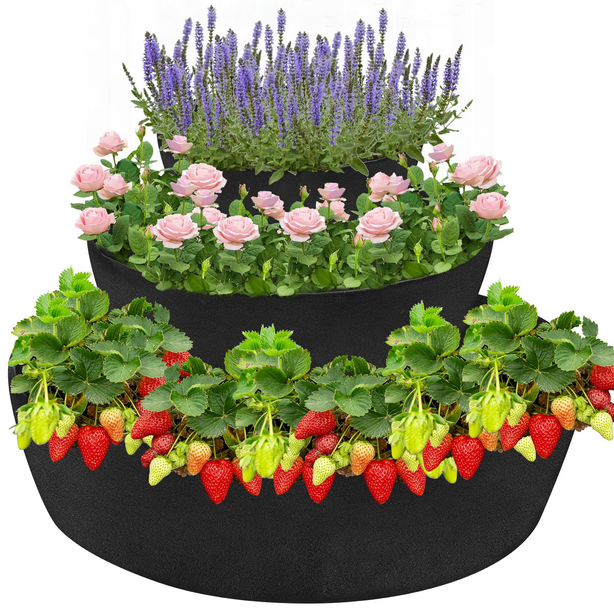 Wenfan 3-tier strawberry planter bottom layer with a wide base for deep root growth.