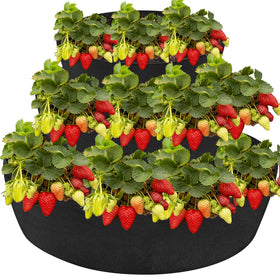 Wenfan foldable design demonstrates easy storage after season.