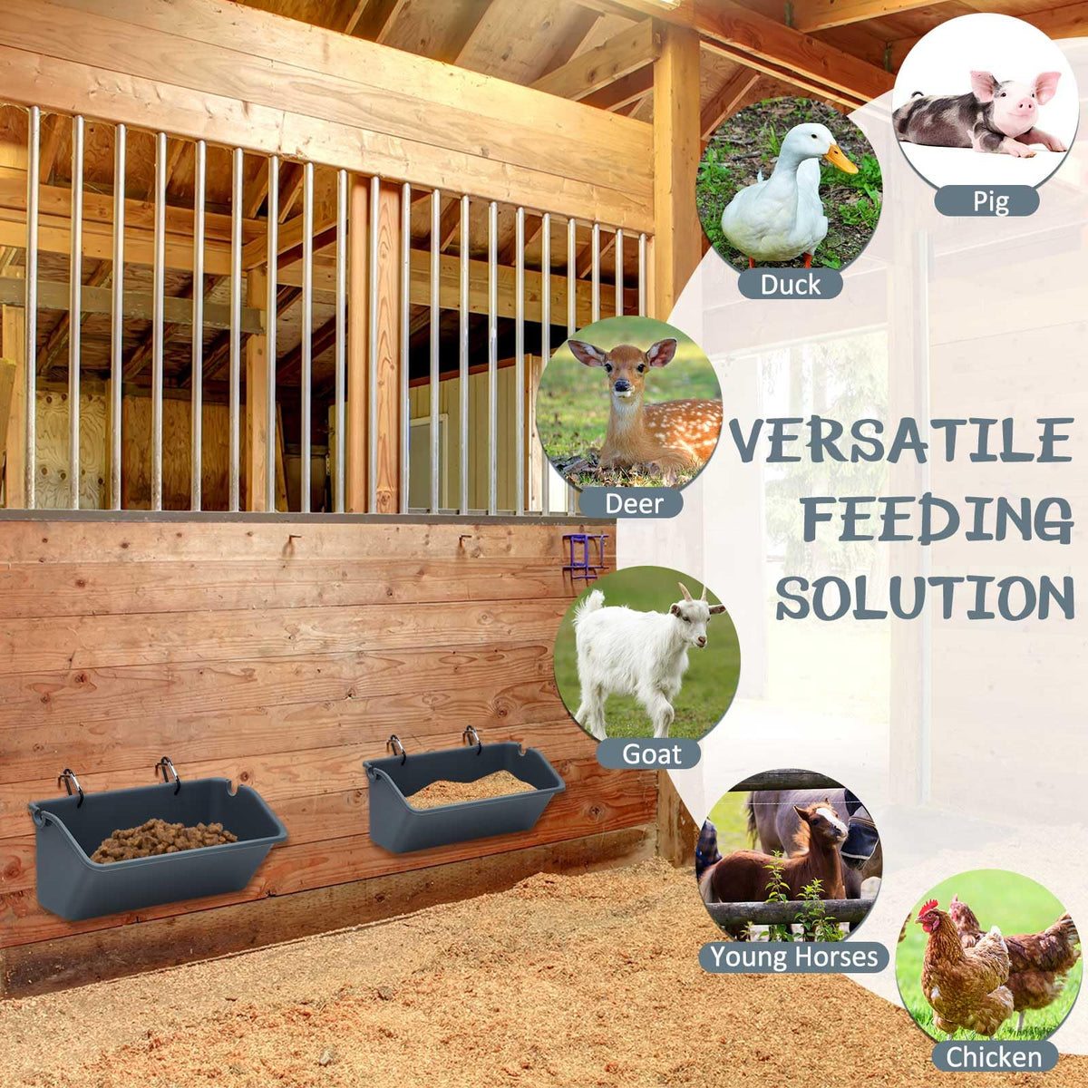 Wenqik 10-pack versatile solution suitable for chickens, ducks, geese, goats, and more.