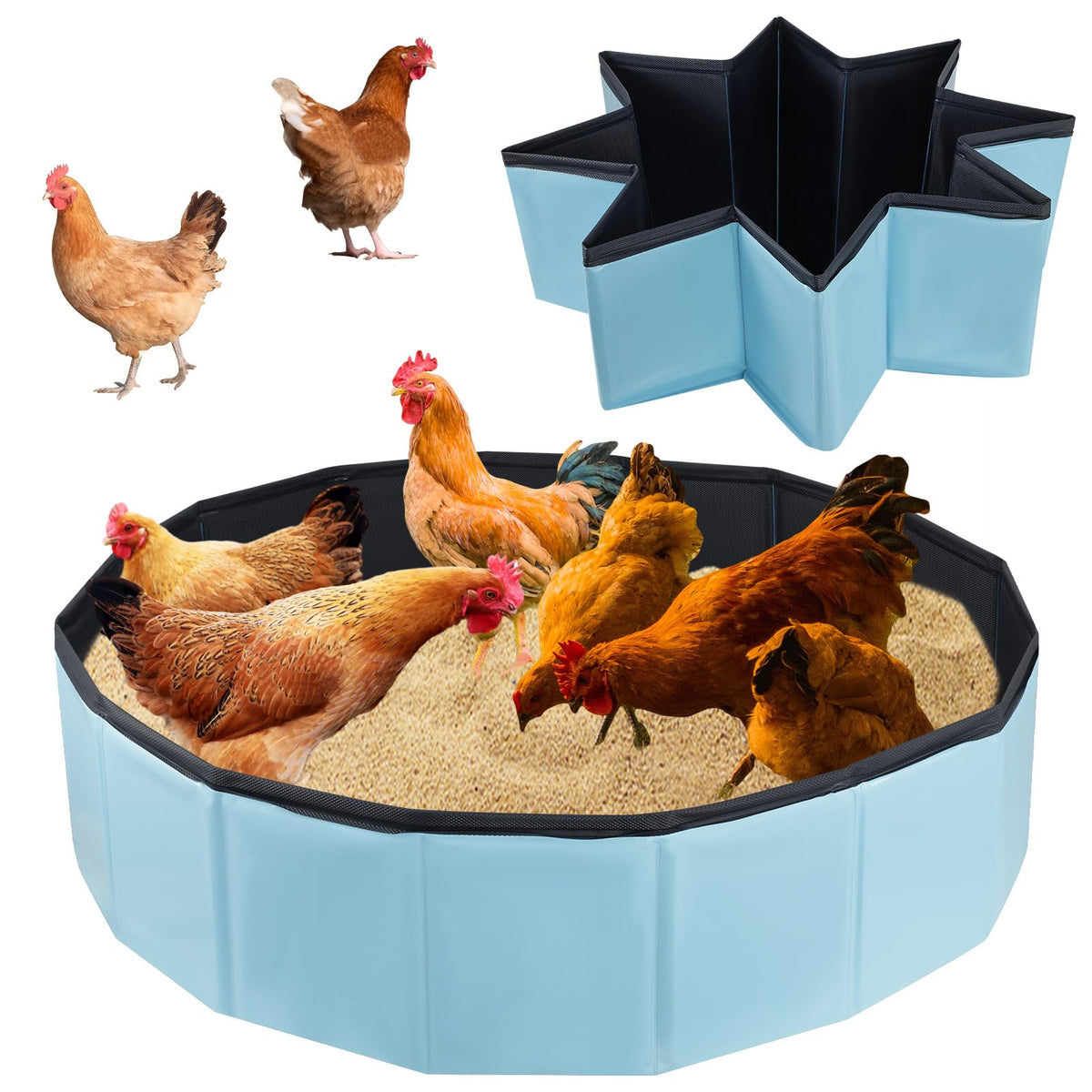 Wensdr Chicken Dust Bath Tub in foldable setup for quick setup and storage.