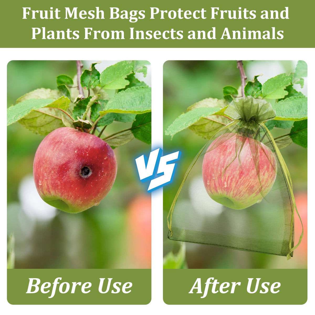 WenTao mango protection bag 6x9 inch guards fruit until harvest