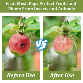 WenTao mango protection bag 6x9 inch guards fruit until harvest