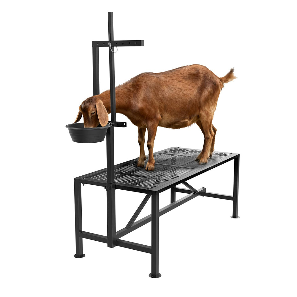 Wepepy Upgrade Goat Milk Stand platform shows sturdy 1mm steel and 600 lb support for daily milking.