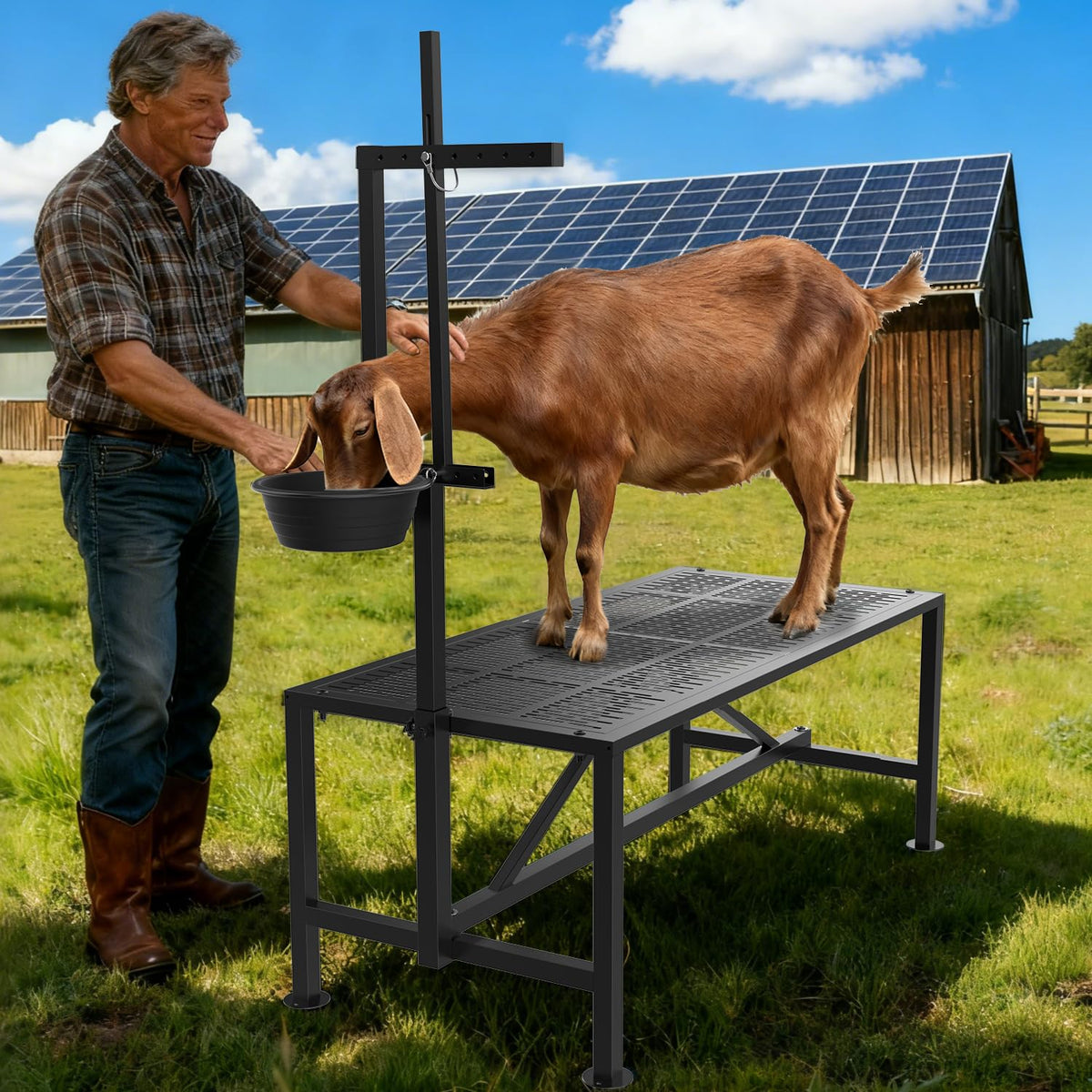 Wepepy Upgrade Goat Milk Stand durable powder coat finish resists moisture and rust.