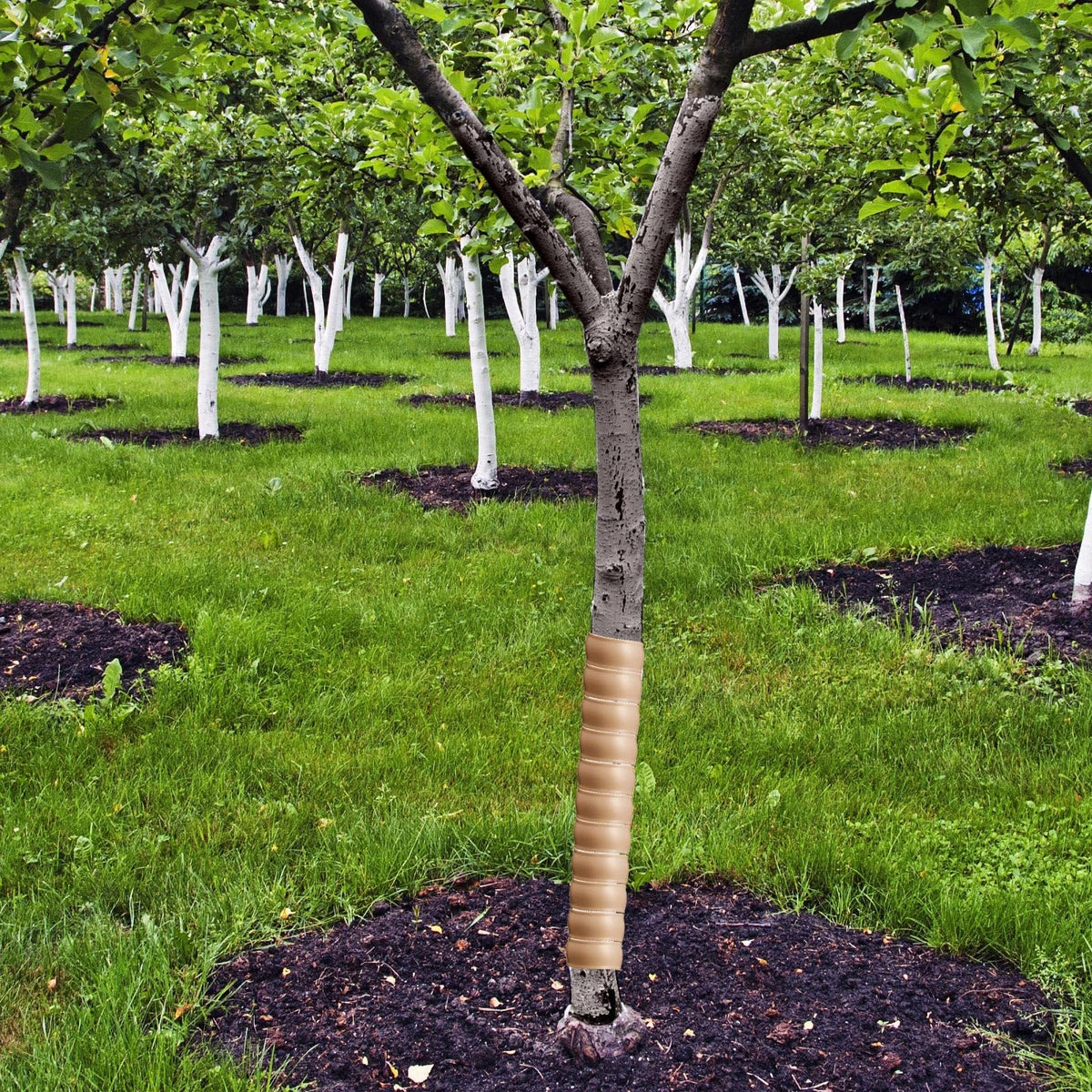 Wesiti 20-piece pack ready for planting season protection