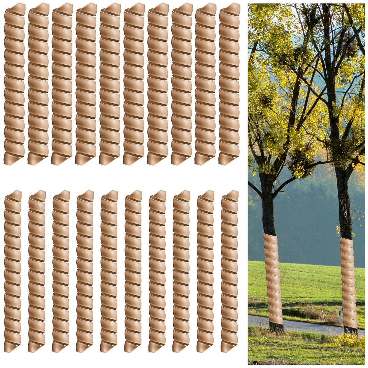 Wesiti tree trunk protector spiral wrap shown on a young sapling for deer and rodent protection