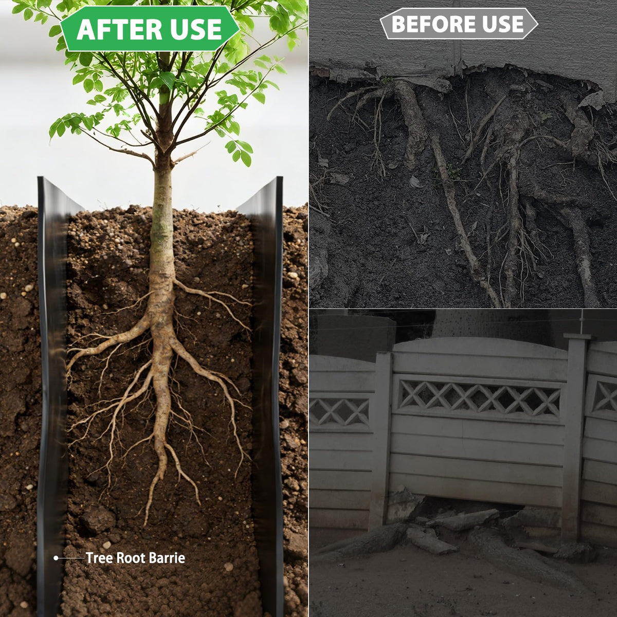 West Bay barrier installation shows trench placement for easy root redirection.