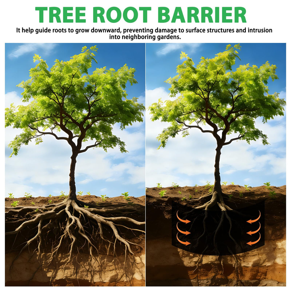 West Bay root barrier guides rhizome growth in garden edging.