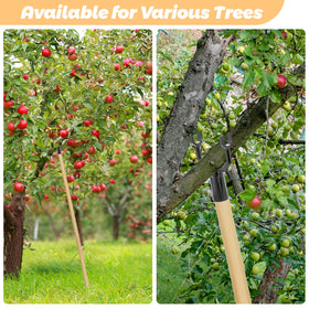 West Bay Y-shaped supports provide two diameter options for varied branches