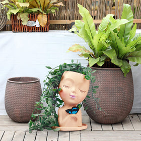 WEWEOW ideal gift for gardeners and home decor lovers.
